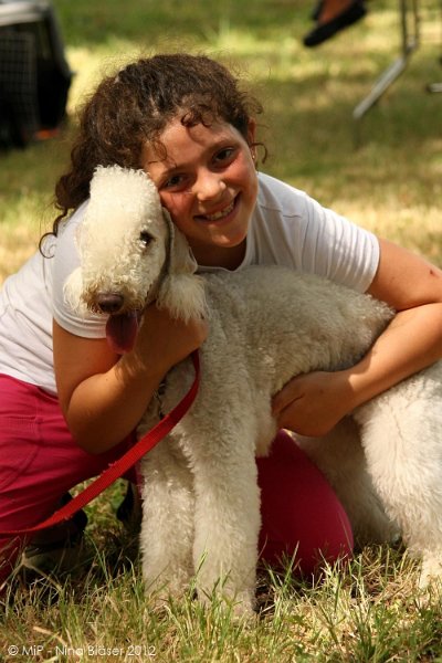 2012-07-01 B & B - Bedlington & Bichon Fun Day (318)_1000x1500.jpg